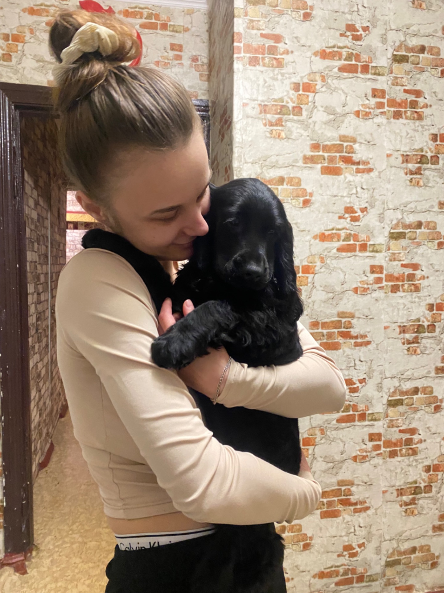 Английский кокер спаниель